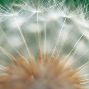 Meet your Posher, Sophie